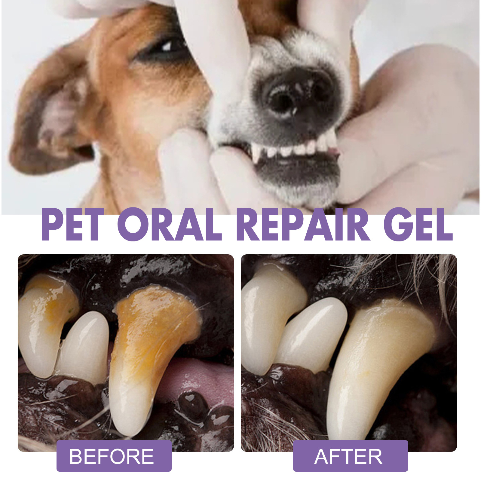 Pet Oral Onarım Jeli Yavru Tar - Teeth Whitening Gels incelemesi ve fiyatı